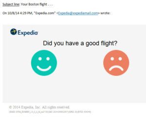 expedia survey 300x243